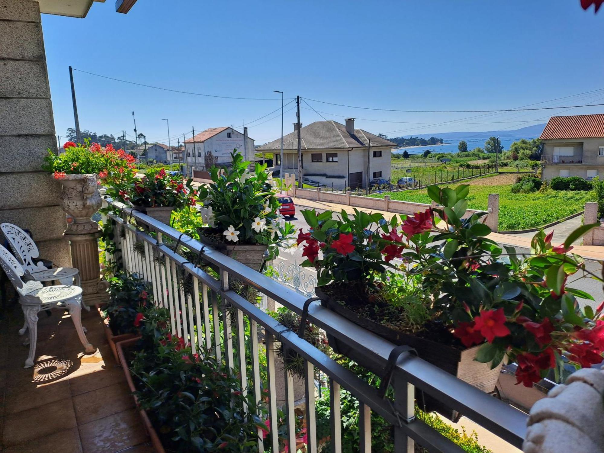 Apart Romero Garden C Villanueva De Arosa Exterior photo